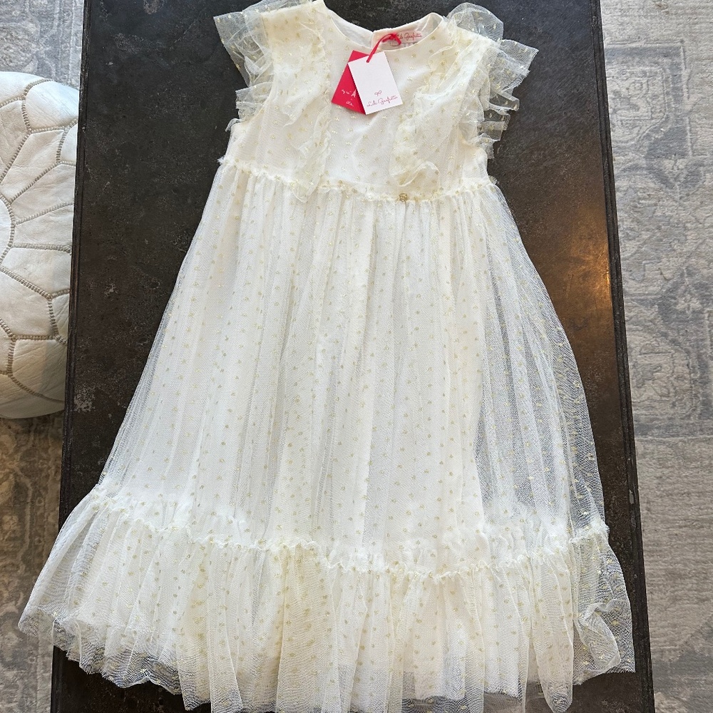 NWT Lili Gaufrette girl’s dress 12